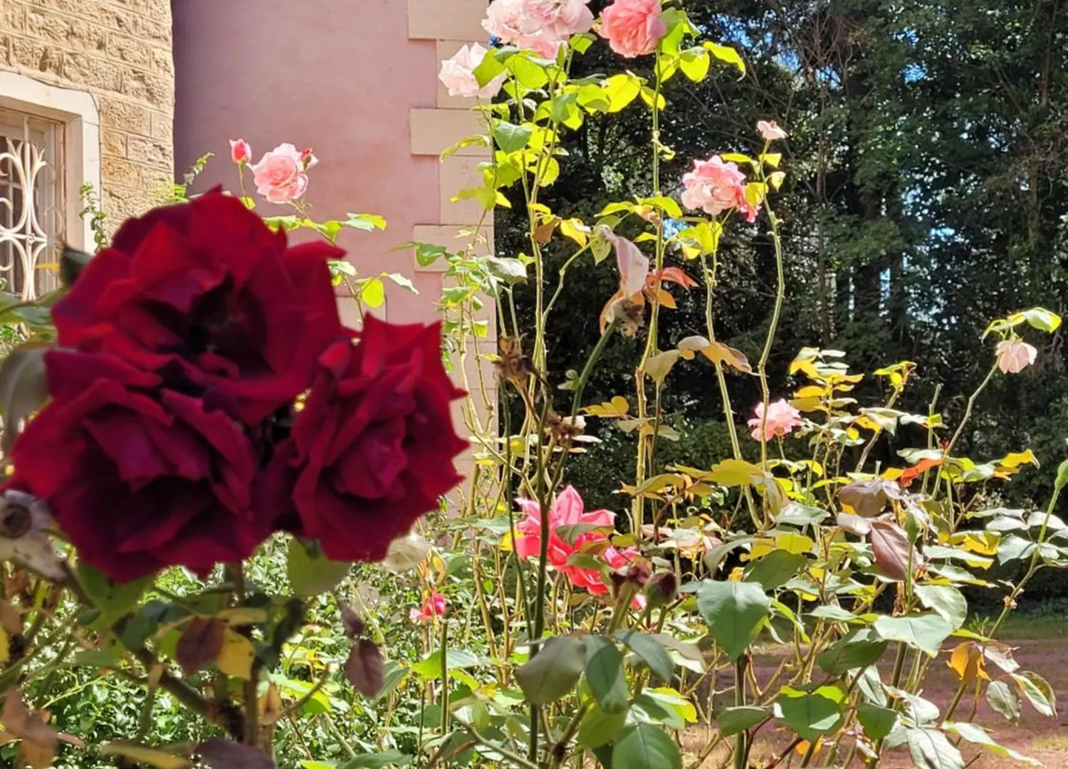 Bed and Breakfast l'Ancre Vive à Charentay